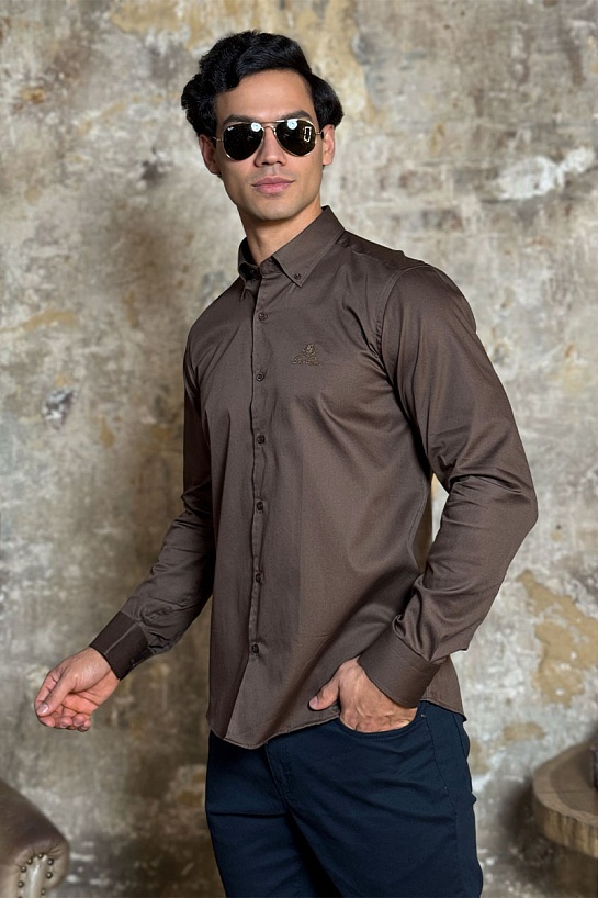 Мужская рубашка Loro Piana logo-embroidered - Brown