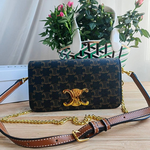 Женская сумка Celine Triumphe 21x11 см   