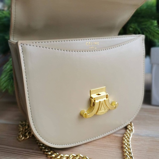 Женская сумка Celine Triomphe 20x16 см   