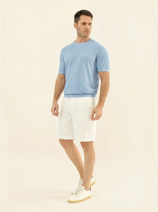 Мужская голубя футболка Loro Piana premium