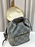 Рюкзак Louis Vuitton Montsouris Premium 40x31x20 см