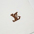 Белая оверсайз футболка Louis Vuitton Premium graphic embroidery