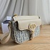 Комбинированная сумка Dior Montaigne Small 22x15 см