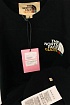 Оверсайз футболка Gucci x The North Face Collaboration landscape print - Black