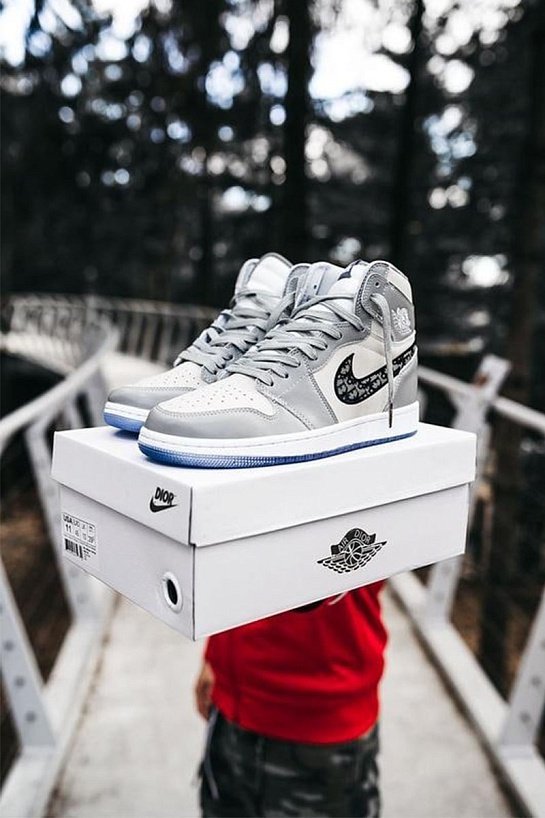 Кроссовки Dior x Nike Air Jordan 1 Retro High - White / Grey