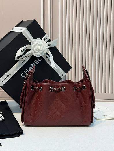Кожаная сумка Chanel 25 Mini premium 20x22x12.5 см   