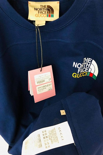 Оверсайз футболка Gucci x The North Face Collaboration landscape print - Navy   