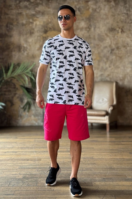 Белая мужская футболка Paul&Shark