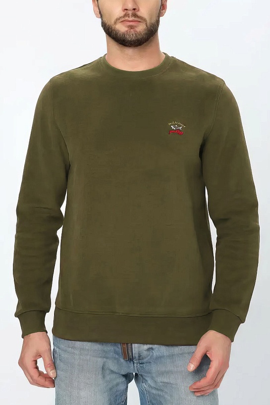 Мужской зелёный свитшот Paul & Shark