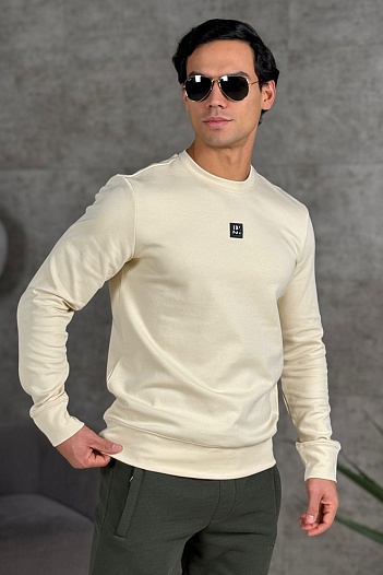 Мужской свитшот Hugo Boss Dettil - Beige   