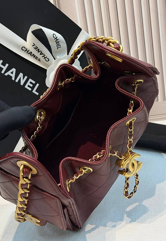 Кожаная сумка Chanel 25 Mini premium 20x22x12.5 см