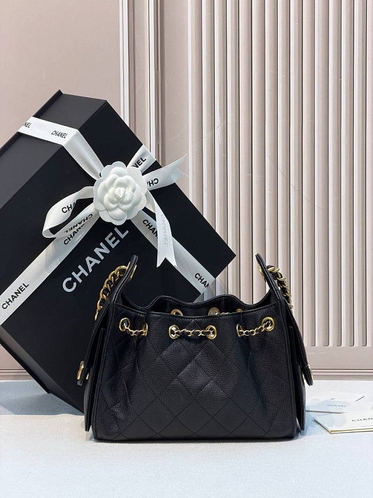Кожаная сумка Chanel 25 Mini premium 20x22x12.5 см