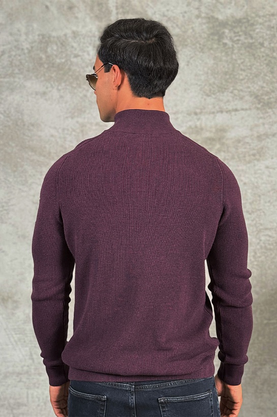 Мужской джемпер Paul & Shark zip-up - Purple