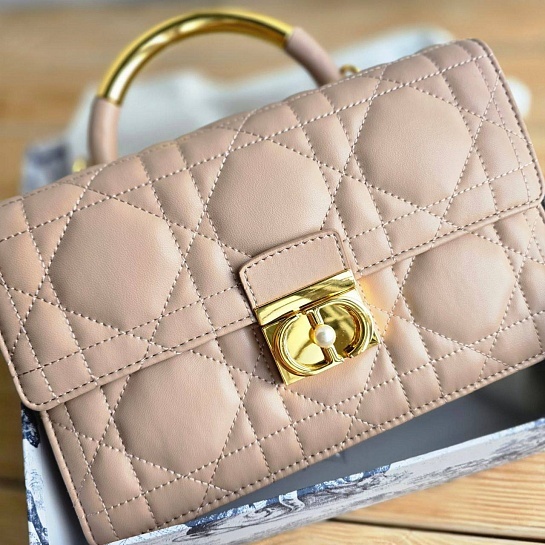 Кожаная сумка Dior Ange 23x16 см