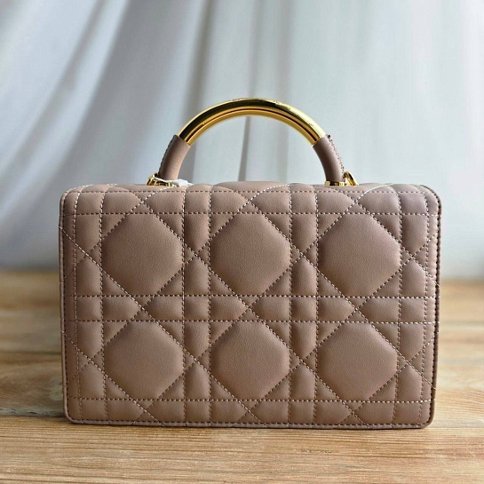 Кожаная сумка Dior Ange 23x16 см