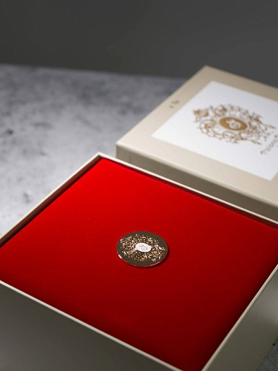 Парфюмерная вода Tiziana Terenzi Halley Comete (100 мл)   