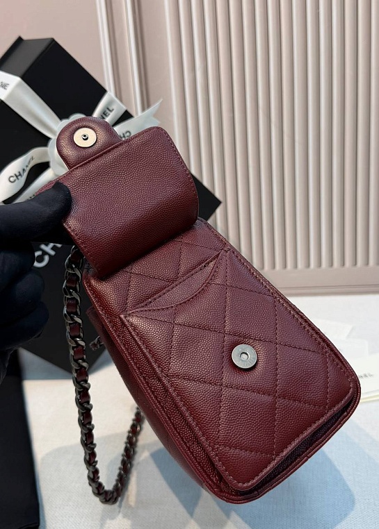 Кожаная сумка Chanel 25 Mini premium 20x22x12.5 см