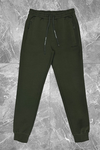 Мужские спортивные штаны Armani Exchange зелёного цвета   