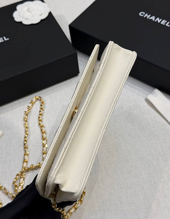 Кожаная сумка Chanel Wallet on Chain premium 19x12x4 см