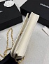 Кожаная сумка Chanel Wallet on Chain premium 19x12x4 см