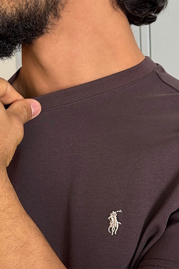 Мужская коричневая футболка Polo Ralph Lauren   