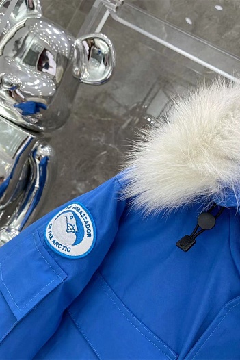 Мужская синяя парка Canada Goose PBI Expedition   