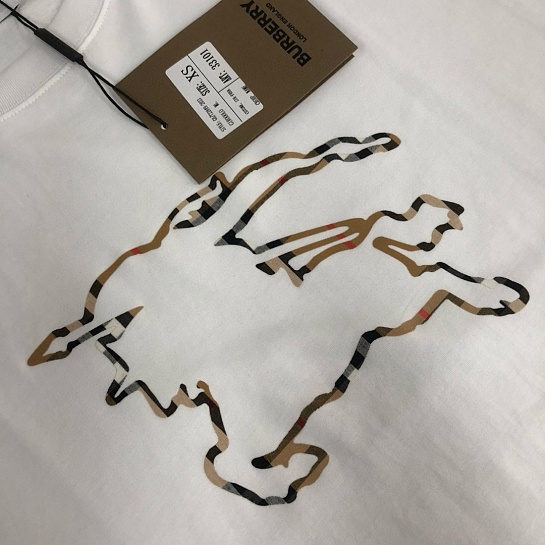 Мужская белая футболка Burberry Premium