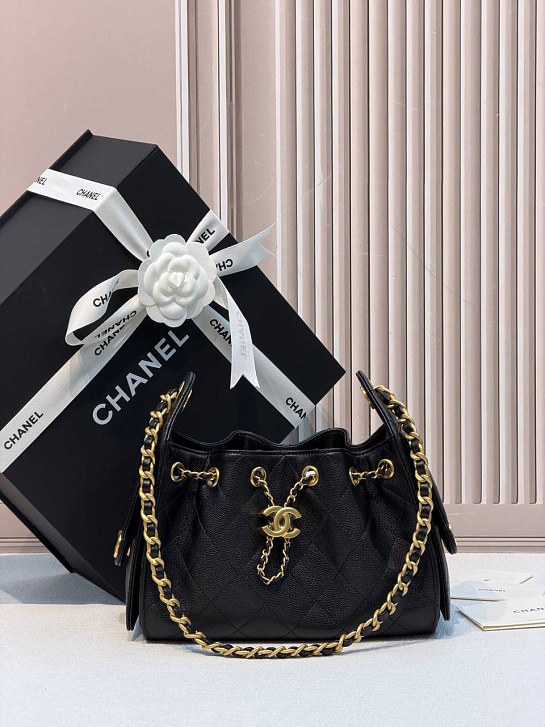Кожаная сумка Chanel 25 Mini premium 20x22x12.5 см