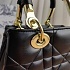 Кожаная сумка Dior Lady 25x18 см