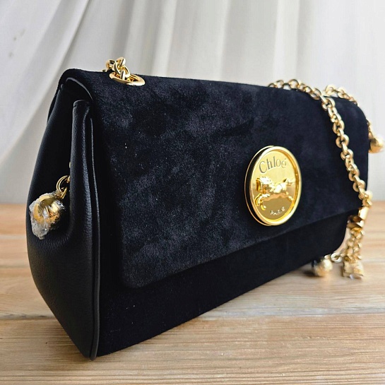 Замшевая сумка Chloe Small Heritage 28x17 см