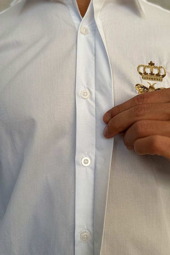 Мужская рубашка Dolce&Gabbana Bee & Crown - White