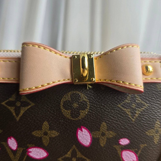 Кожаная сумка Louis Vuitton x Takashi Murakami Pochette 21x12 см   