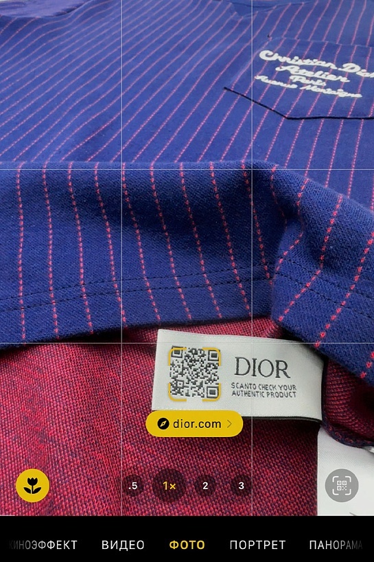 Синяя оверсайз футболка Dior