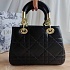 Кожаная сумка Dior Lady 25x18 см