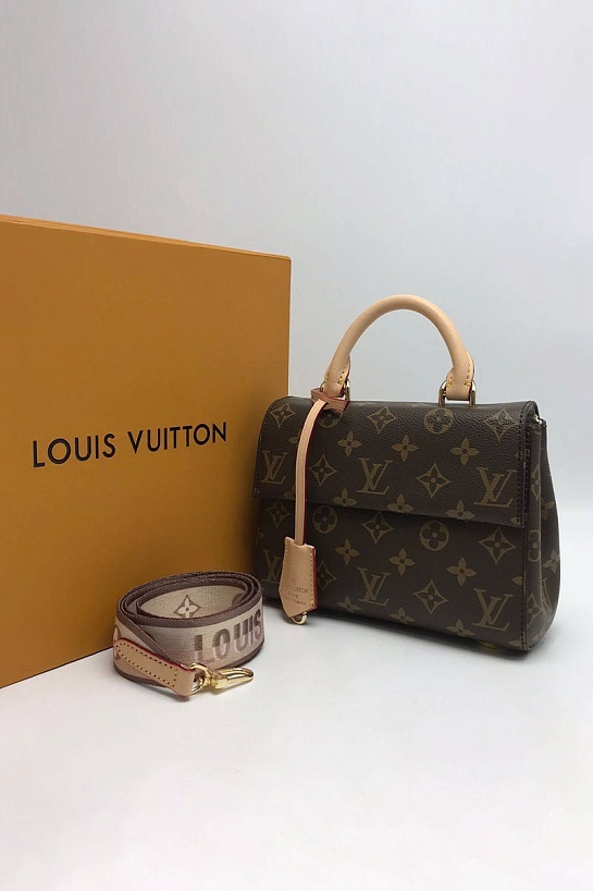 Кожаная сумка Louis Vuitton Cluny Mini Monogram 20x15x5 см