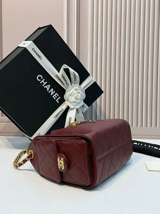 Кожаная сумка Chanel 25 Mini premium 20x22x12.5 см