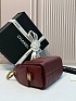Кожаная сумка Chanel 25 Mini premium 20x22x12.5 см