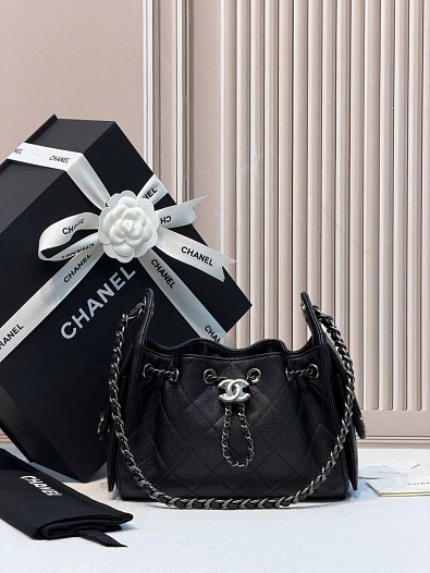 Кожаная сумка Chanel 25 Mini premium 20x22x12.5 см   