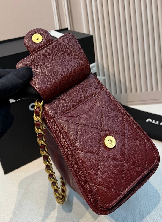 Кожаная сумка Chanel 25 Mini premium 20x22x12.5 см