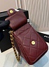 Кожаная сумка Chanel 25 Mini premium 20x22x12.5 см