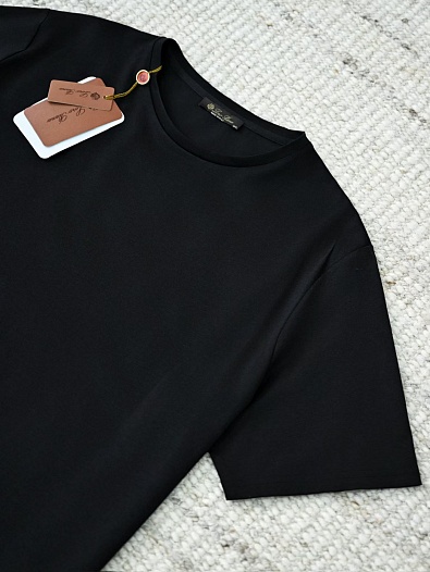 Мужская чёрная футболка Loro Piana premium   