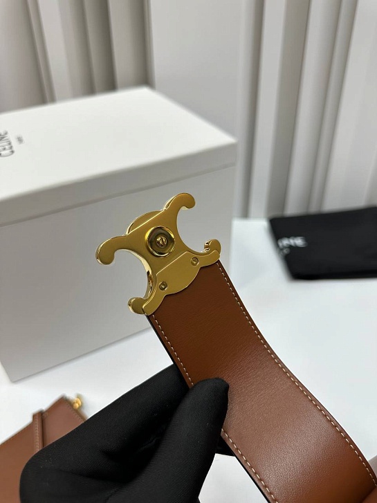 Женская кожаная сумка Celine Triomphe Louise Premium 23.5x24x16 см - Brown