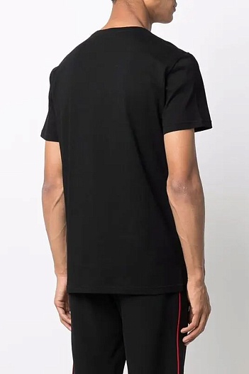 Мужская чёрная футболка Alexander McQueen graphic skull   