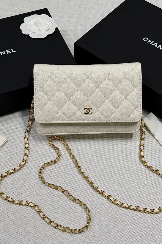 Кожаная сумка Chanel Wallet on Chain premium 19x12x4 см