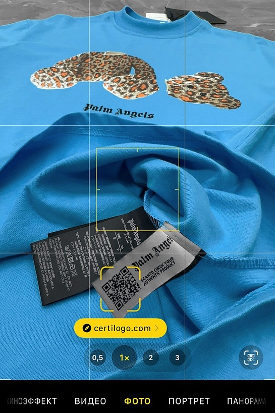 Голубая оверсайз футболка Palm Angels Leopard Bear