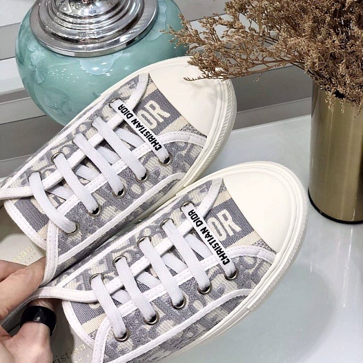 Женские кроссовки Dior Walk'n'Dior Oblique motif   