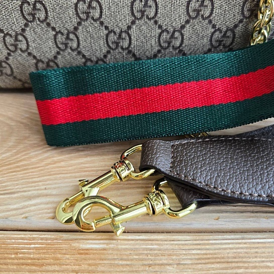 Женская сумка Gucci Ophidia 24x14 см