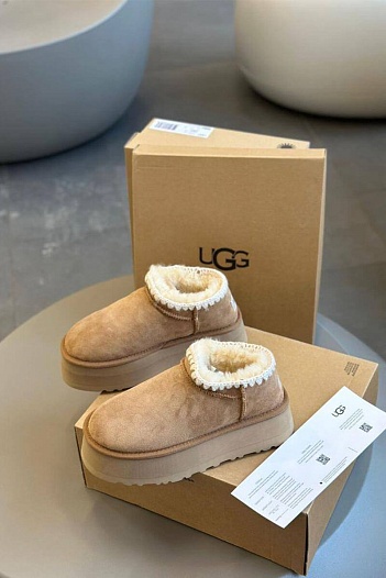 Женские зимние слиперы с мехом UGG Tasman   