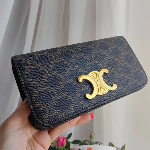 Женская сумка Celine Triumphe 21x11 см   