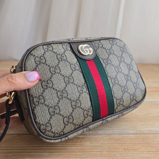 Сумка Gucci GG Ophidia 20x14 см